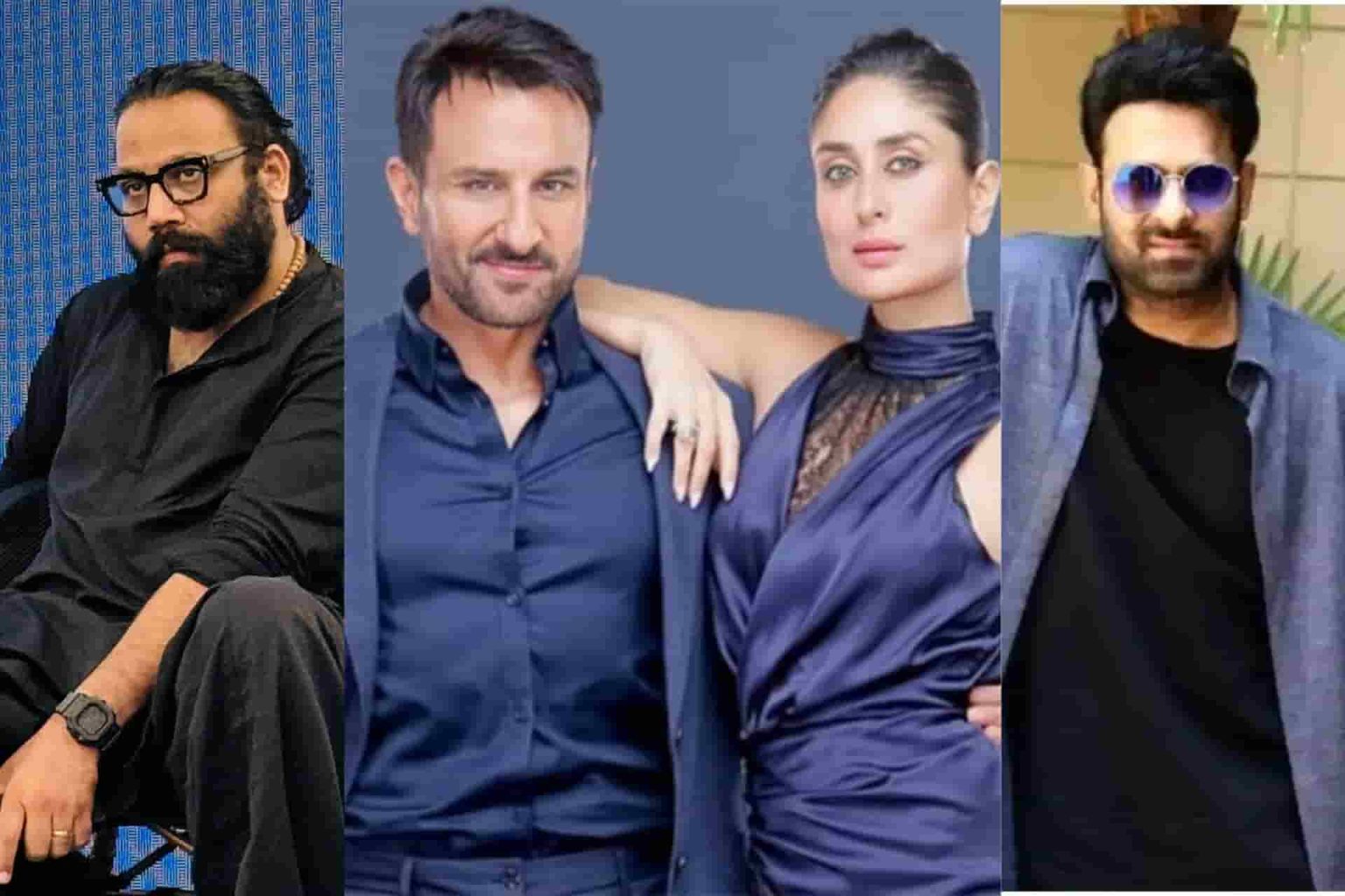 Saif kareena Vanga Film