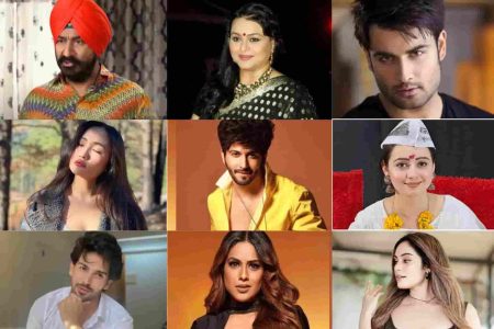 Bigg Boss Contestants List